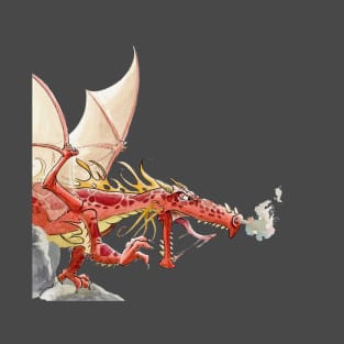 dragon fire T-Shirt