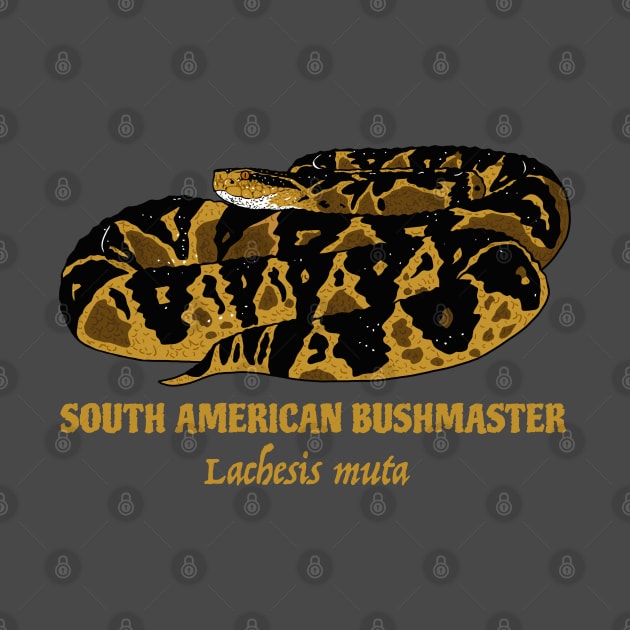 South American Bushmaster, Lachesis muta by SNK Kreatures