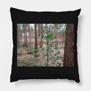 Holly Leaf tree with big trees in the background Pillow