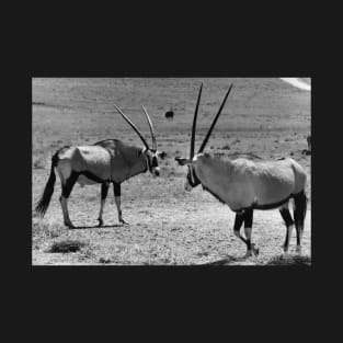 Vintage Photo of Gemsbok T-Shirt