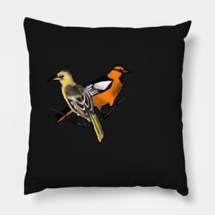 Bullock's Orioles Pillow