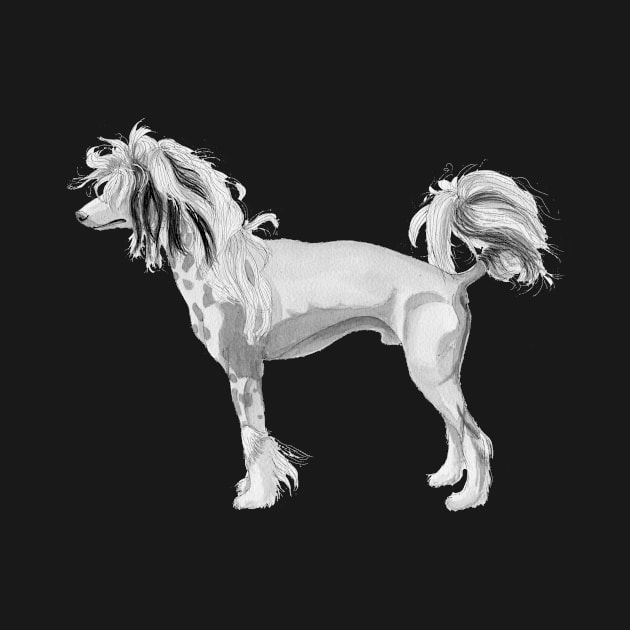 Chinese Crested dog by doggyshop