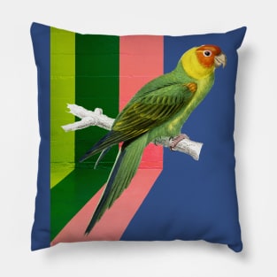 Graffiti Bird Pillow