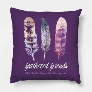 CB Feathered Friends 2 Pillow