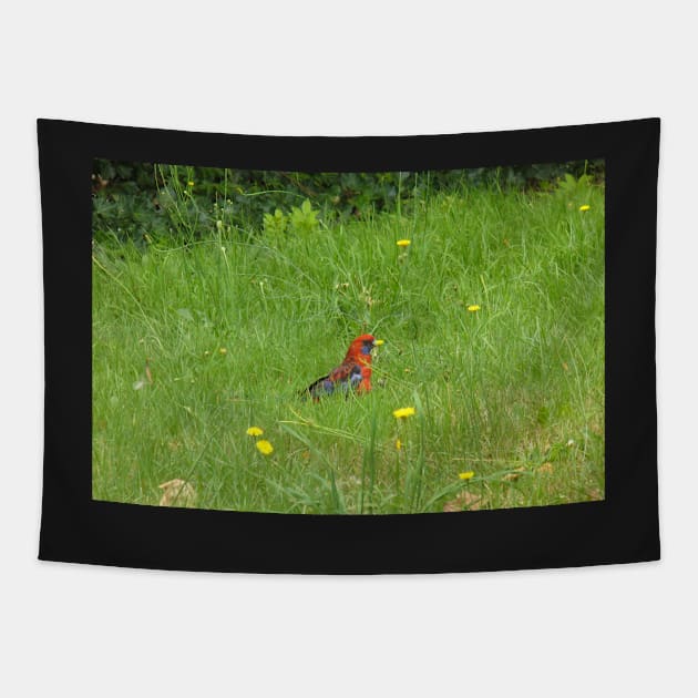 Crimson Rosella Collecting Dandelion Tapestry by KaSaPo