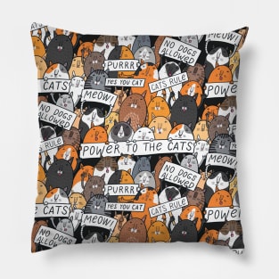 Cats protest Pillow