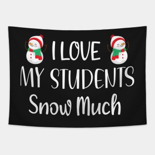 I Love My Students Snow Much / Funny Christmas Teacher Education Quote Tapestry