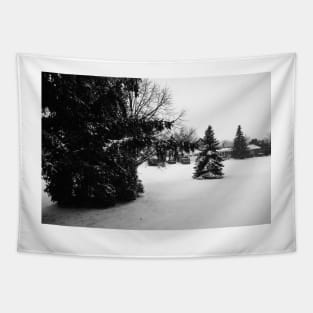 Snow Fall in Black and White Tapestry