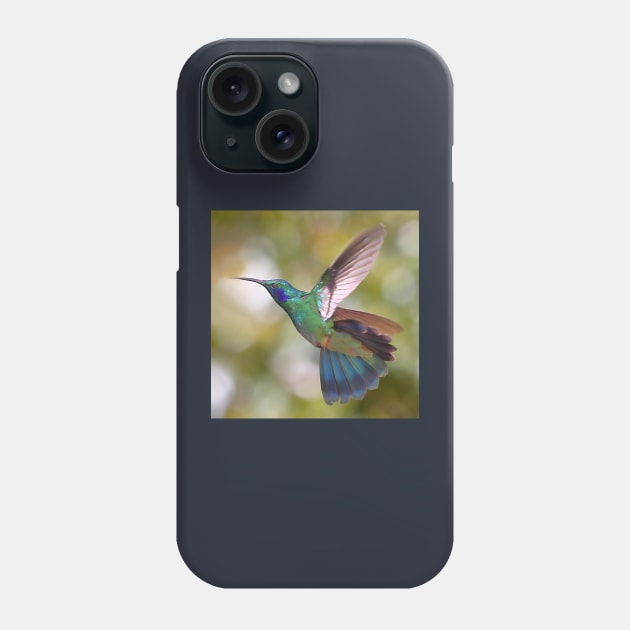 Green Violetear Hummingbird Phone Case by Carole-Anne