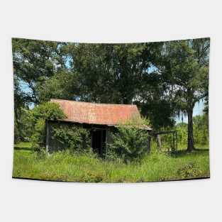 Swamp house Tapestry