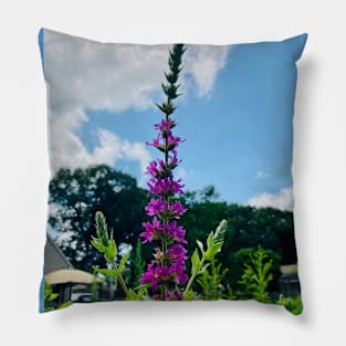 Reach For The Sky Pillow