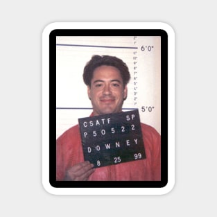 Robert Downey Jr Mugshot Magnet