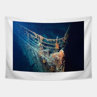 Wreck of RMS Titanic (C010/4463) Tapestry