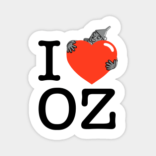 I Love OZ! Magnet