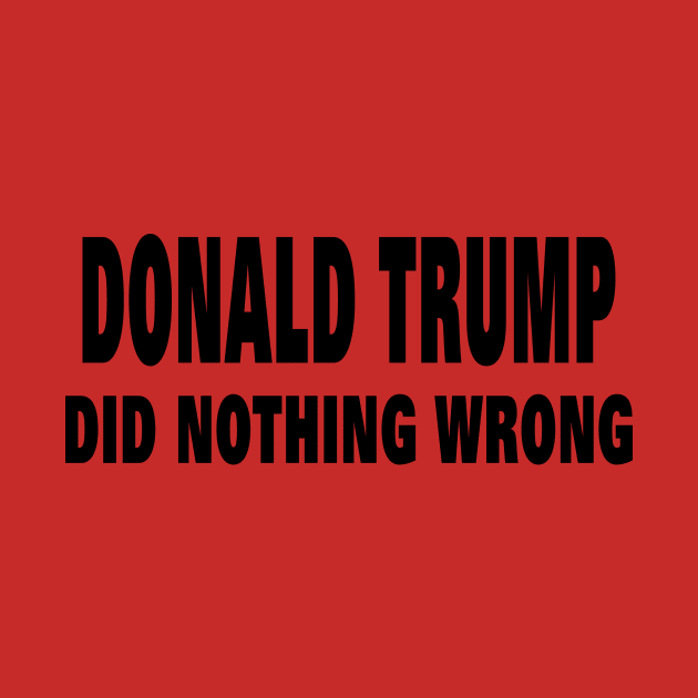 DONALD TRUMP DID NOTHING WRONG by your best store