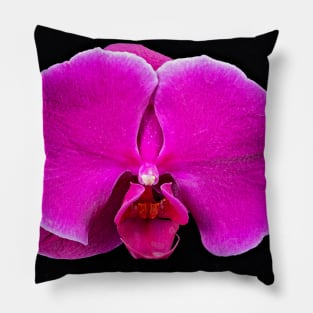 Purple Orchid Pillow