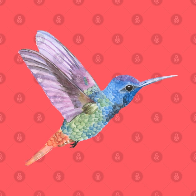 Colorful Colibri by Happy Art Designs