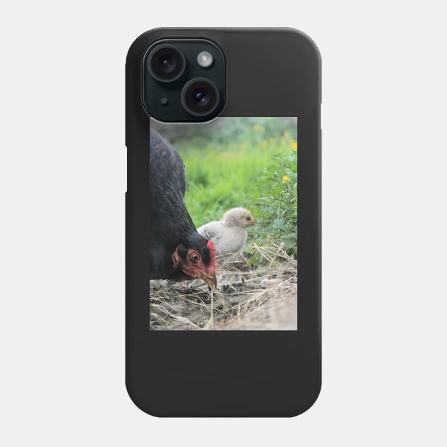 The single child (Hen and chick) Phone Case by WesternExposure