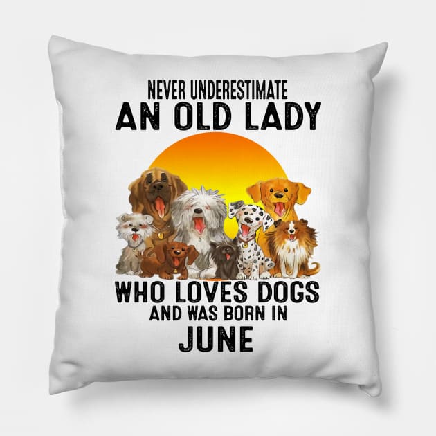 Never Underestimate An Old June Lady Who Loves Dogs Pillow by trainerunderline