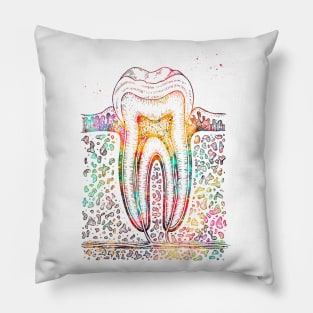 Tooth diagram Pillow