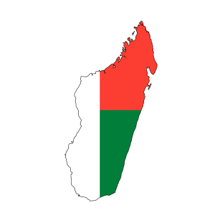 Madagascar Flag Map T-Shirt