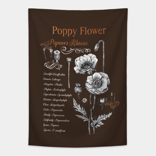 Poppy Flower - Botanical illustration with scientific classification. Tapestry by FanitsaArt