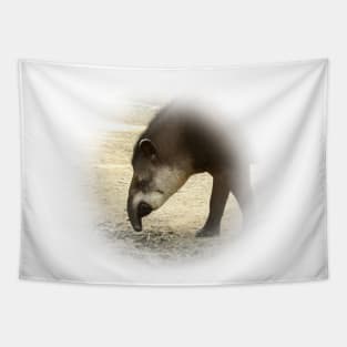 Tapir Tapestry