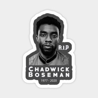 Chadwick Boseman RIP Magnet