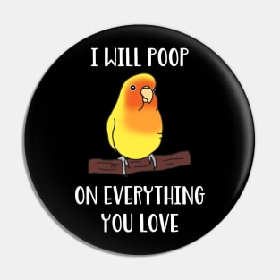 yellow lovebird will poop on everything you love Pin