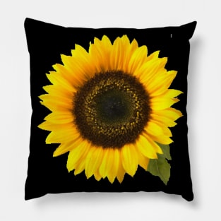 Sunflower Pillow