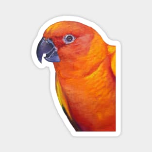 Sun Conure - bird portrait painting Magnet