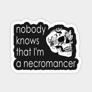 Nobody Knows I'm a Necromancer Magnet