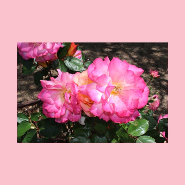 Pink Rose by Battlefoxx Living Earth