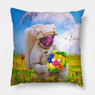 The Solitary Collector Pillow