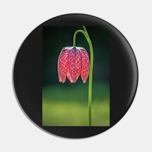 Red Snakeshead Fritillary Flower Pin