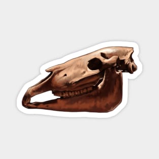 Ice Age Wild Horse Skull Magnet