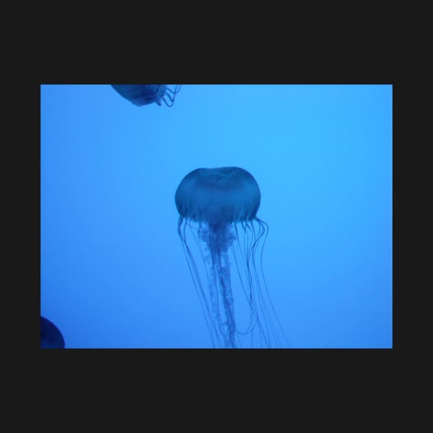 Blue Silhouetted Jellyfish Photo Print And Others by nhitori