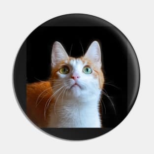 Red cat with green eyes Pin