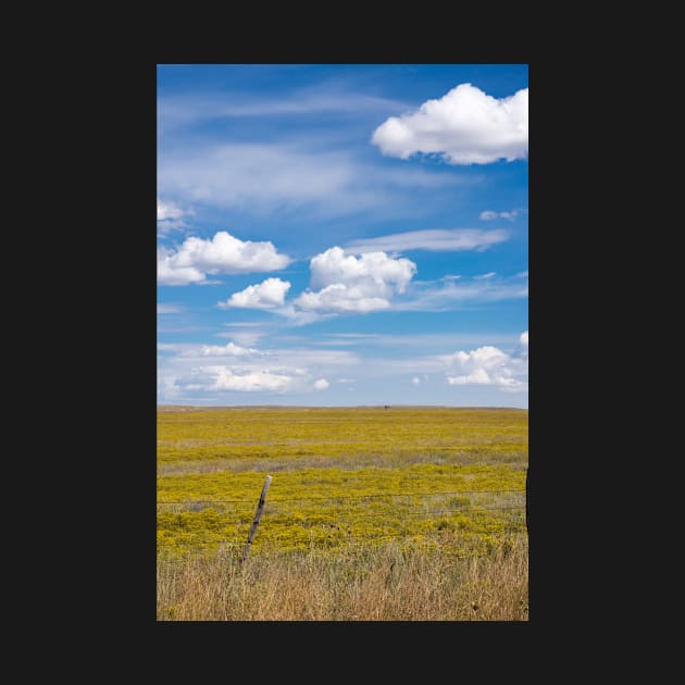 New Mexico landscape. by sma1050