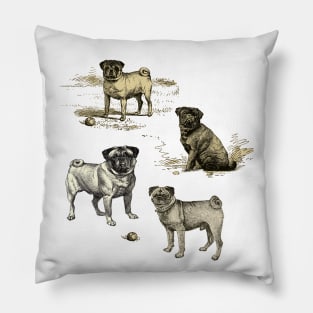 PUG DOGS Pillow