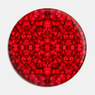 Red Red Raspberries Pin