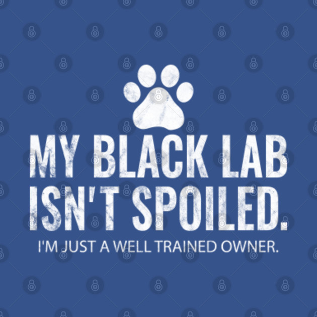 Disover Funny Black Labrador Gift My Lab Isnt Spoiled - Black Lab - T-Shirt