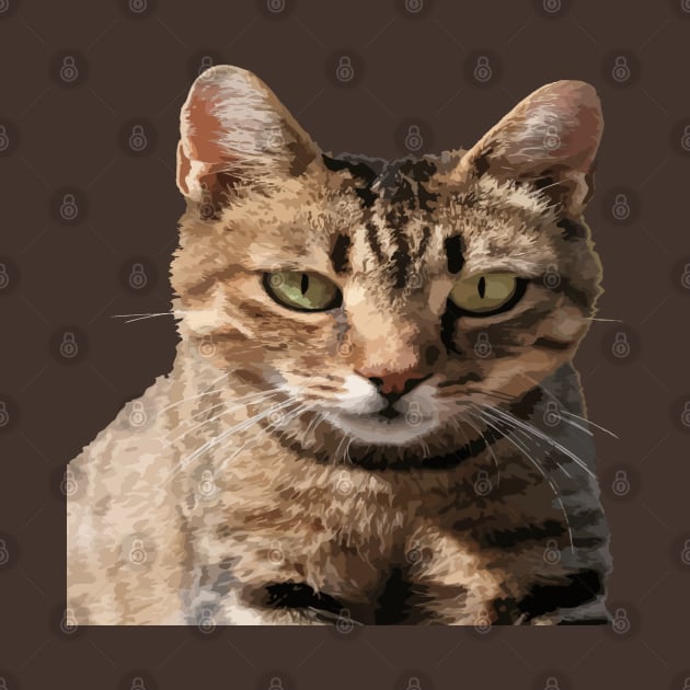 Portrait Of A Cute Tabby Cat With Direct Eye Contact Vector by taiche