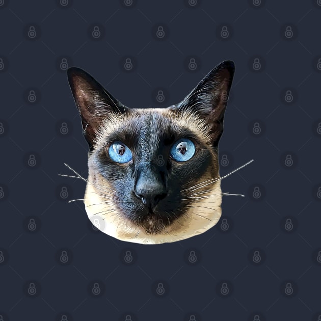 Siamese Cat Seal Point Blue eye beauty! by ElegantCat