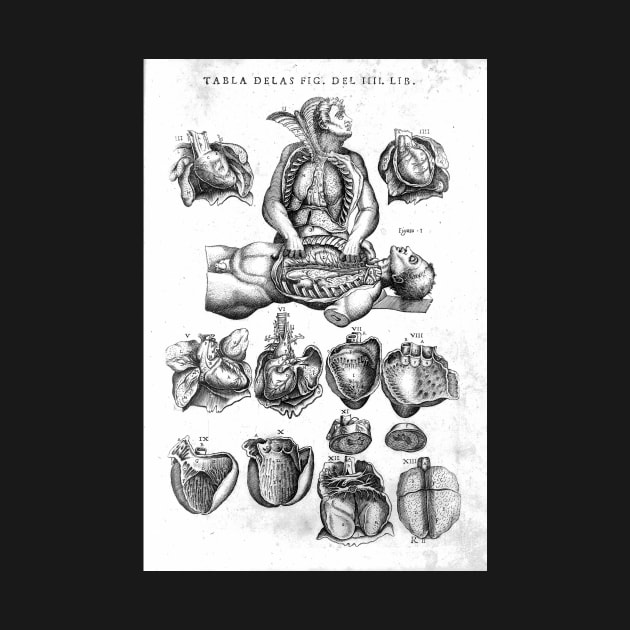 The Human Heart, Juan Valverde de Amusco, 1588 by nickedenholm