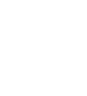 Straight Outta Area 51 Magnet