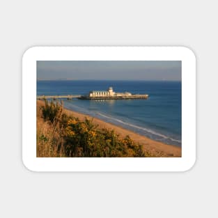 Pier from the West Cliff Magnet