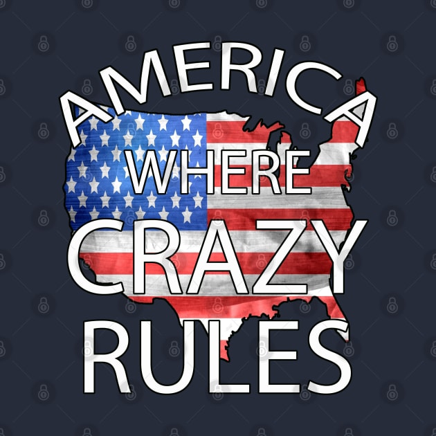 America Where Crazy Rules by Turnersartandcrafts