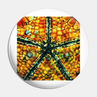 starfish Pin