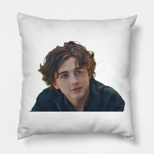 Thimotée Chalamet Pillow